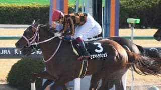 【JRA】モズアトラクションが急性腹症で予後不良　2019年エルムS覇者