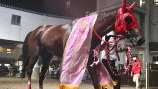 【スパーキングレディーC回顧】マイペースで逃げれば強いサルサディオーネ/斎藤修