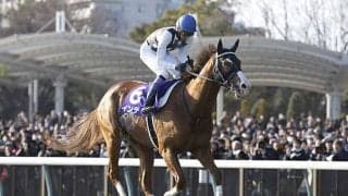 ケイムホームが急性腹症のため22歳で死亡　19年フェブラリーS馬インティの父