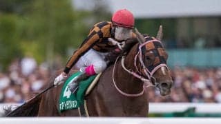 モズアトラクションが競走馬登録抹消