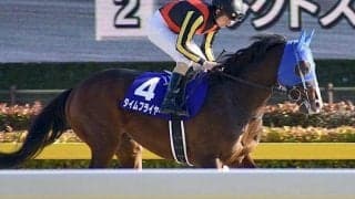 【本日の注目ポイント】函館でダートOP・マリーンS、小倉でベルカント半弟デビューなど