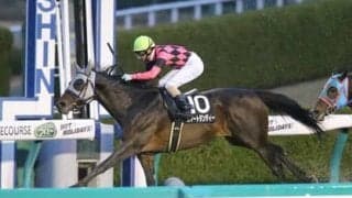 条件が一変したプロキオンＳは直感冴える穴党記者推奨の激アツ４頭におまかせ