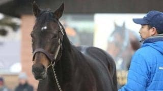 【セレクトセール2021注目馬】4年連続の億超え狙うトップバッターはディープインパクト産駒