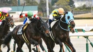 【七夕賞予想】14人気◎1着以降の4戦無印から一転、再び狙える激穴とは？ 逆に評価を下げたい人気馬も/JRA重賞レース展望