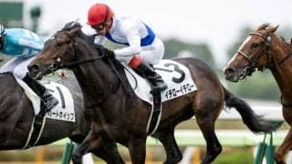 【函館5R新馬戦結果】イチローイチローが大接戦制す　4着までハナ・ハナ・ハナ差