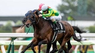 【函館記念想定】カフェファラオはルメール騎手、サトノエルドールは亀田温心騎手