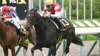 【中京記念想定】3連勝中ロータスランド、昨年大金星メイケイダイハードなど14頭
