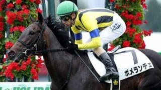 【函館2歳S想定】札幌芝1200mでレコード勝ちのポメランチェ、トーセンサンダーなど8頭