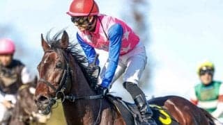 【七夕賞前日オッズ】トーラスジェミニが5.8倍で1番人気