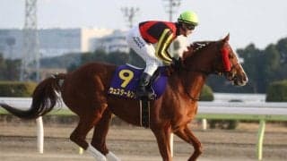 【プロキオンS前日オッズ】ウェスタールンドが3.6倍で1番人気