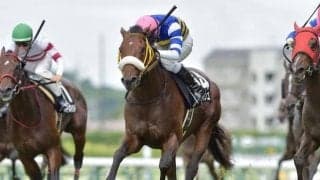 【WIN5予想】七夕賞は内枠の馬や前走で先行していた馬が不振