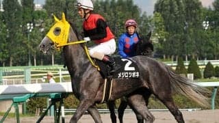 【セレクトセール2021注目馬】“メジロ黄金時代”の名馬が血統表に残るハーツクライの牡馬