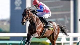 【七夕賞AI予想】混戦を抜け出すのは、着以上に充実期を迎えているこの馬/JRAレース展望