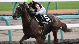 【七夕賞予想】2桁人気馬がくることを前提に組むレース？狙いは重馬場巧者の追い込みタイプだ！