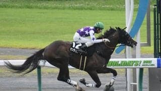 【プロキオンS予想】混戦で信頼したいのは馬格に恵まれた実績馬の勢い
