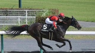 【セレクトセール2021注目馬】初の大台超えなるか？ 新ひだか町産ディープインパクトの牝馬