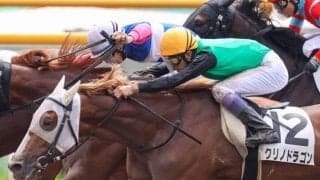 【函館8R】武豊 クリノドラゴンが測ったような差し切り