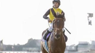 JRAはGIII函館2歳S・函館記念・中京記念、地方ではJpnIジャパンダートダービーに注目/今週の競馬界の見どころ