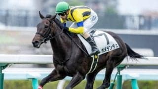 【函館2歳S見どころ】世代最初のJRA重賞を制するのはどの馬か
