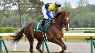 【中京記念見どころ】今年は小倉開催 ボッケリーニが人気の中心か