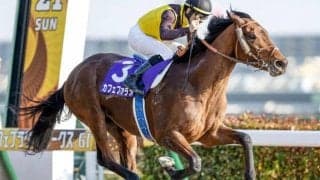 【函館記念見どころ】ダートGI覇者カフェファラオが参戦！重賞4勝目なるか