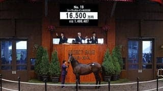 【セレクトセール2021】ハーツクライ産駒、シーウィルレインの2020が1億6500万円で落札