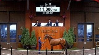 【セレクトセール2021】ハービンジャー産駒、サンデースマイルIIの2020が1億1000万円で落札