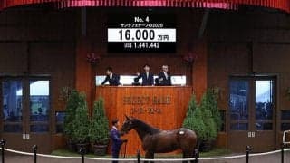 【セレクトセール2021】サイバーエージェントの藤田晋氏、サンタフェチーフの2020を1億6000万円で落札