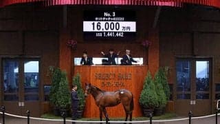 【セレクトセール2021】ロードカナロア産駒、ホットチャチャの2020が1億6000万円で落札