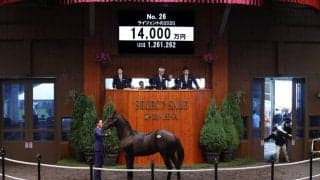 【セレクトセール2021】ディアドラ半弟が1億4000万円