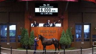 【セレクトセール2021】テルツェット半弟が1億6000万円