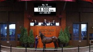 【セレクトセール2021】ハーツクライ産駒が1億6500万円