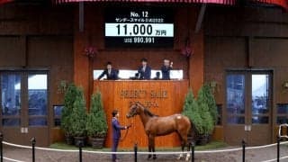 【セレクトセール2021】サンデースマイルIIが1億1000万円