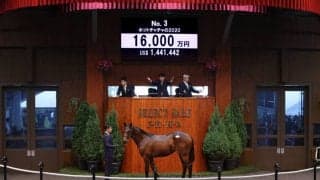 【セレクトセール2021】エタリオウ半妹が1億6000万円