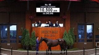 【セレクトセール2021】半姉アドマイヤリードの良血馬をサイバーエージェントの藤田晋氏が1億500万円で落札