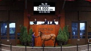 【セレクトセール2021】ロードカナロア産駒が2億4000万円で落札！ 昨年のホープフルS覇者ダノンザキッドの半弟