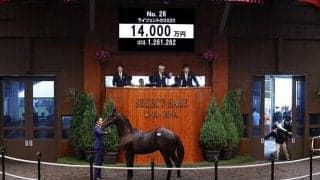 【セレクトセール2021】ルーラーシップ産駒、ライツェントの2020が1億4000万円で落札