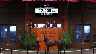 【セレクトセール2021】上場2頭目ディープインパクト産駒が1億2000万円