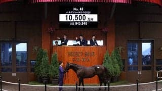 【セレクトセール2021】アドマイヤリード半弟が1億500万円