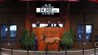 【セレクトセール2021】ダノンザキッド半弟が2億4000万円