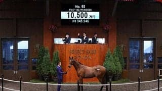 【セレクトセール2021】サトノダイヤモンド産駒、チェリーコレクトの2020が1億500万円で落札