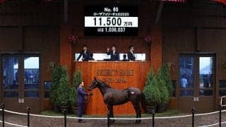【セレクトセール2021】“華麗なるバラ一族”伯父にGI2勝馬の良血が1億1500万円で落札