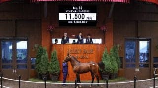 【セレクトセール2021】サトノアラジン産駒が1億超え