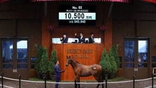 【セレクトセール2021】里見治氏がサトノダイヤモンド産駒を落札