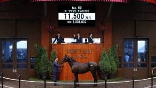 【セレクトセール2021】ローザフェリーチェの2020が1億500万円