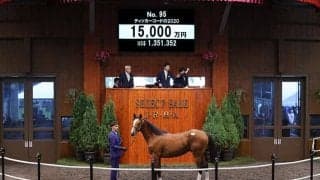 【セレクトセール2021】新種牡馬サトノダイヤモンド産駒が1億5000万円で落札　ティッカーコードの2020