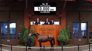 【セレクトセール2021】ドゥラメンテ産駒が1億円で落札　マルケッサの2020、伯父にサトノダイヤモンド