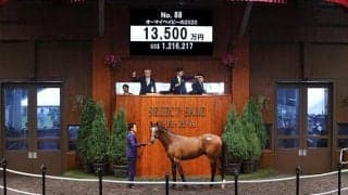 【セレクトセール2021】バゴ産駒、オーマイベイビーの2020が1億3500万円で落札　全兄にステラヴェローチェ