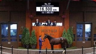 【セレクトセール2021】サイバーエージェントの藤田晋氏が5頭目の億超え落札 19年香港ヴァーズ覇者グローリーヴェイズの半弟