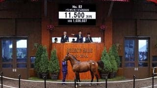 【セレクトセール2021】サトノアラジン産駒、パシオンルージュの2020が1億1500万円で落札